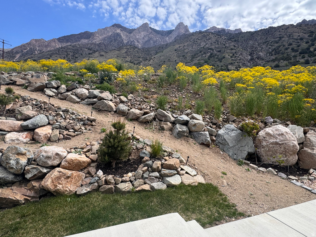 337 E SADDLEBACK RD Willard, UT 84340