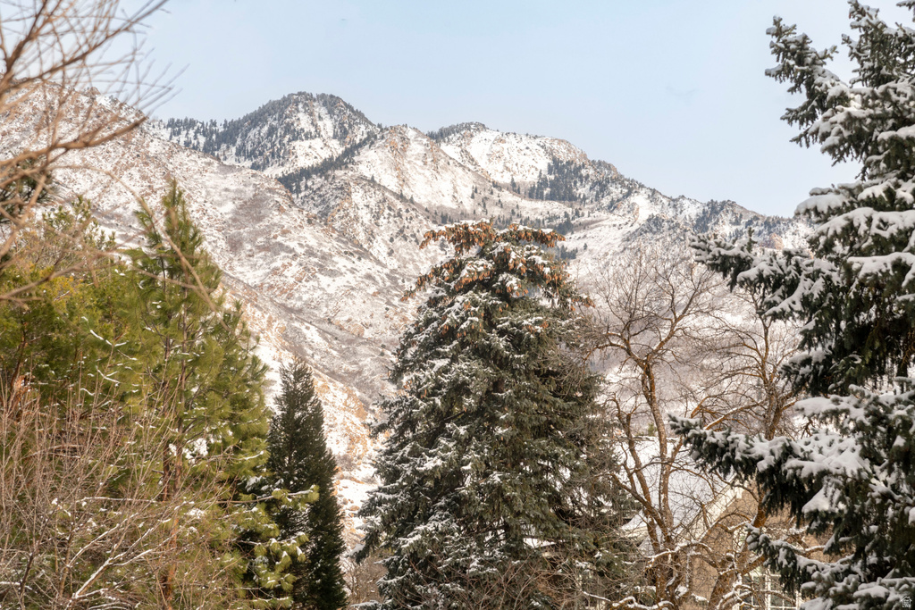 2250 E PHEASANT WAY Holladay, UT 84121