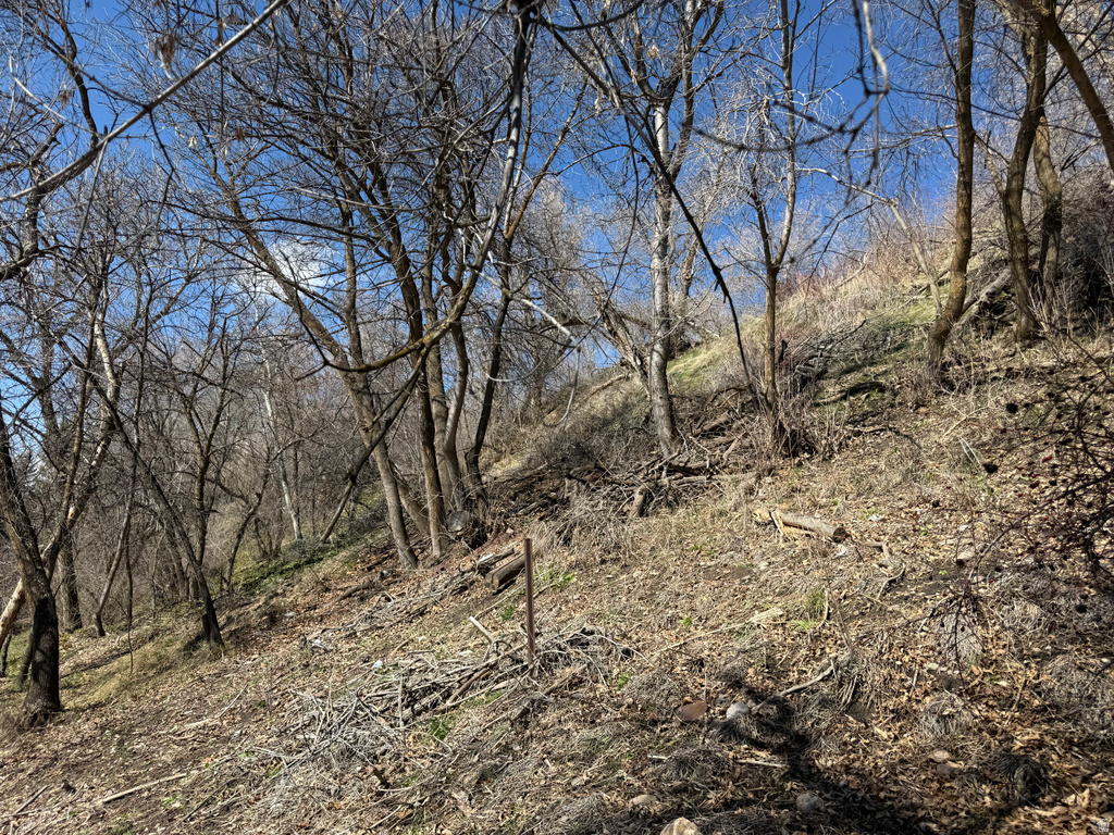 745 E CANYON RD Logan, UT 84321