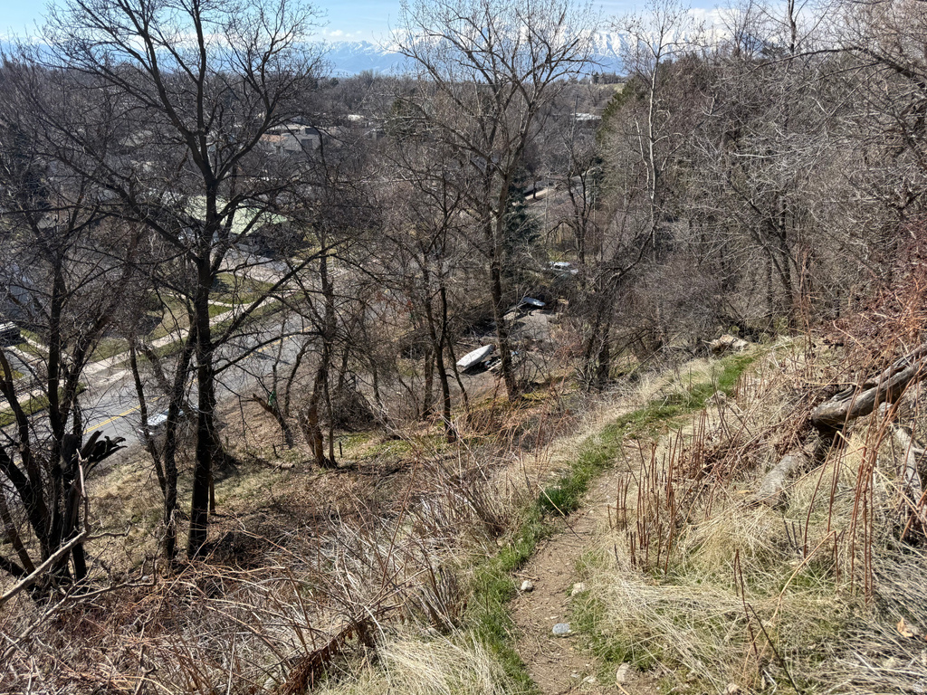 745 E CANYON RD Logan, UT 84321