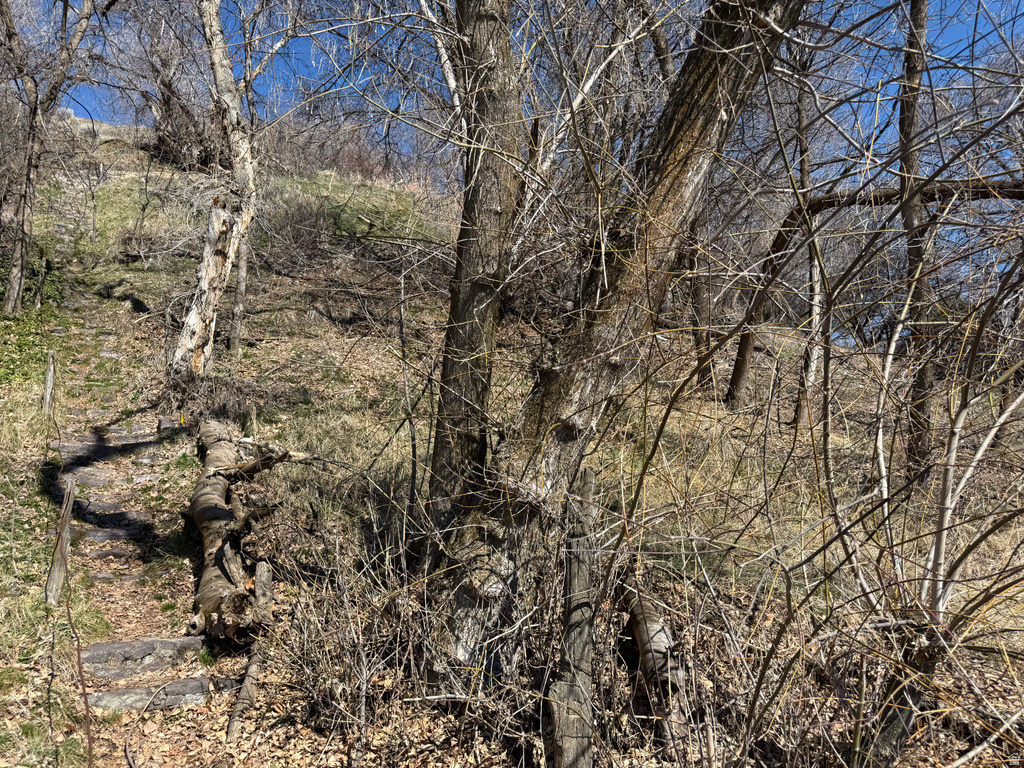 745 E CANYON RD Logan, UT 84321