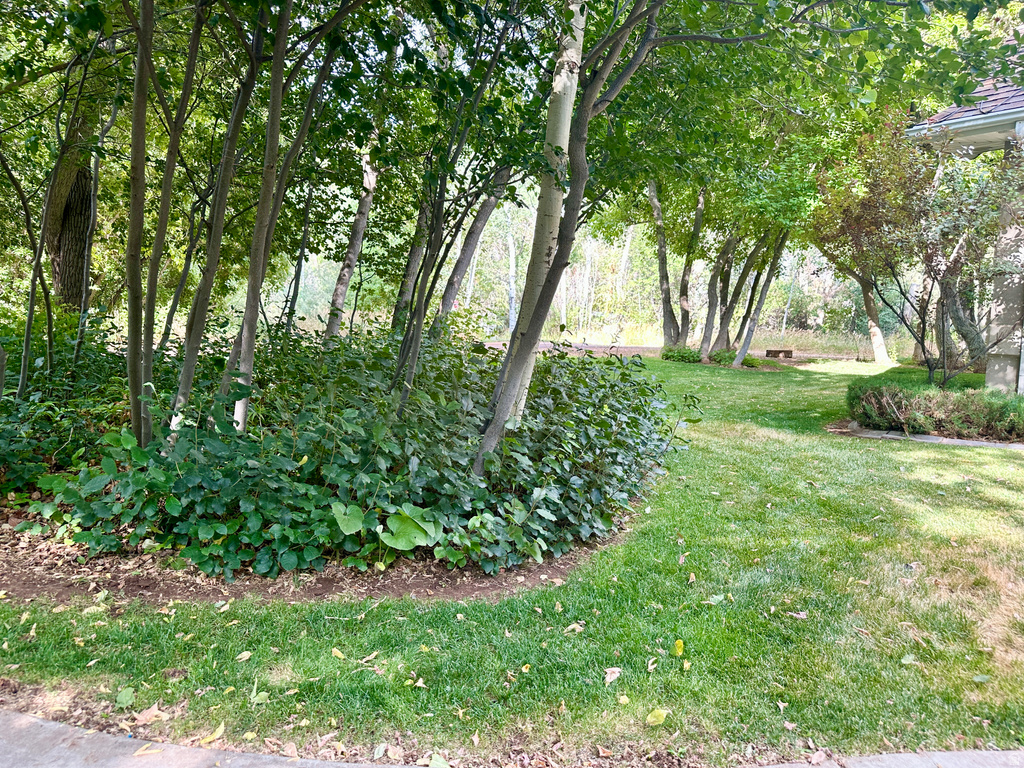 7737 W SAWTOOTH CV Vernal, UT 84078