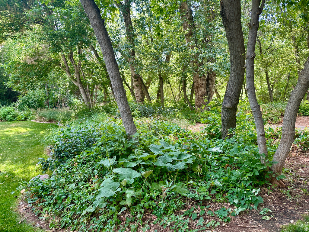 7737 W SAWTOOTH CV Vernal, UT 84078