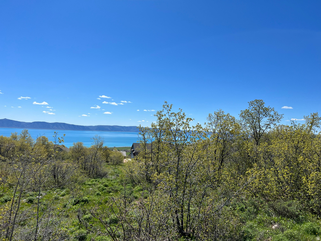 47  JUNIPER DR Fish Haven, ID 83287