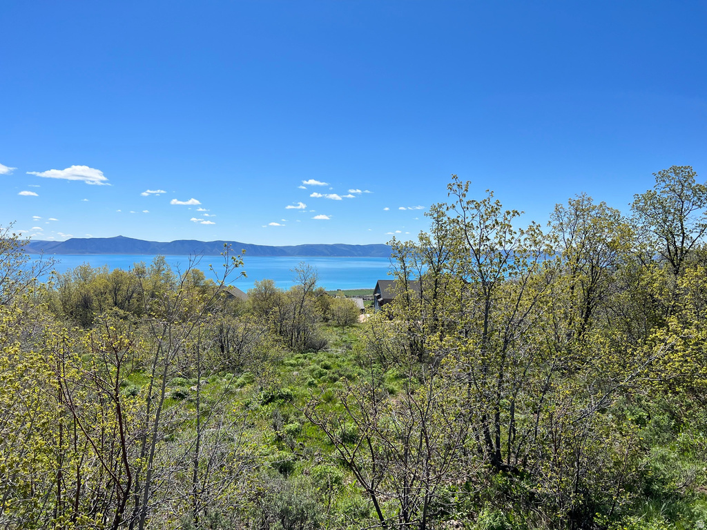 47  JUNIPER DR Fish Haven, ID 83287