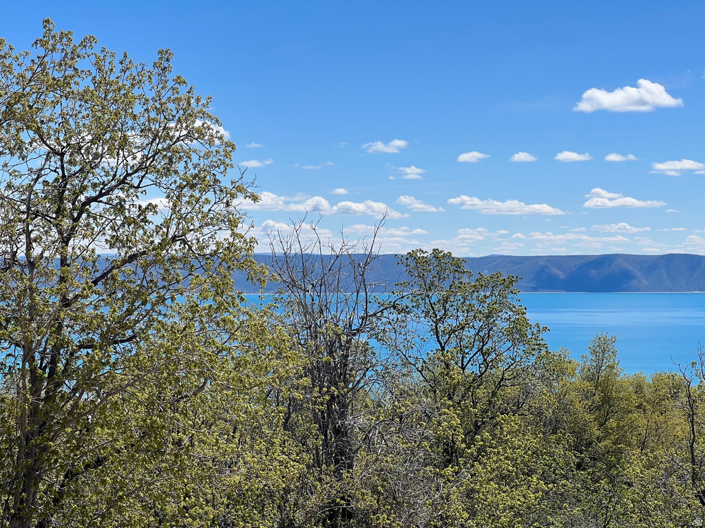 47  JUNIPER DR Fish Haven, ID 83287