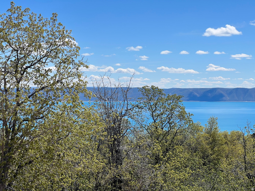 47  JUNIPER DR Fish Haven, ID 83287