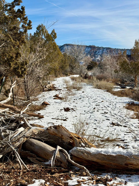 7423 W DRY FORK OVERLOOK DR Vernal, UT 84078