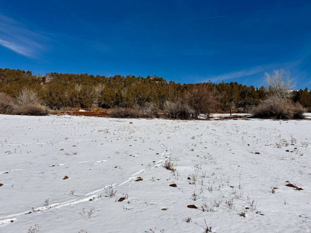 7423 W DRY FORK OVERLOOK DR Vernal, UT 84078