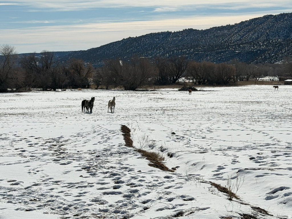 7423 W DRY FORK OVERLOOK DR Vernal, UT 84078