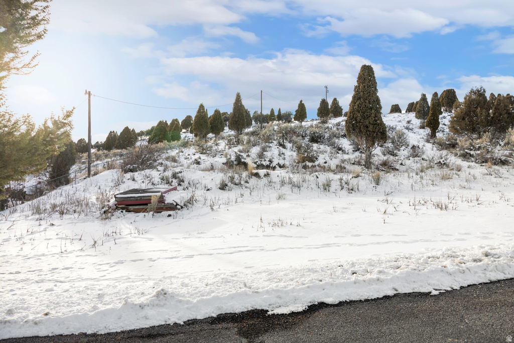 TBD Soda Springs, ID 83276