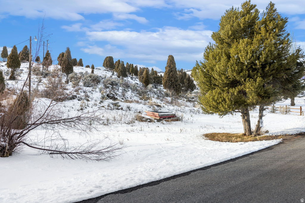 TBD Soda Springs, ID 83276