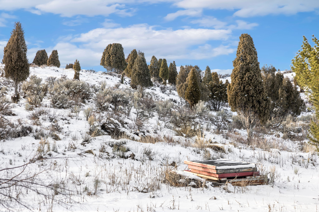 TBD Soda Springs, ID 83276