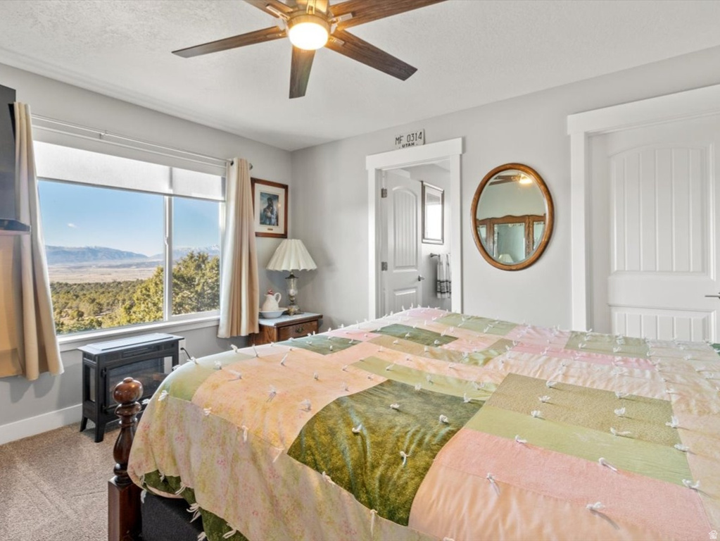 14440 N 11740 E Mt Pleasant, UT 84647