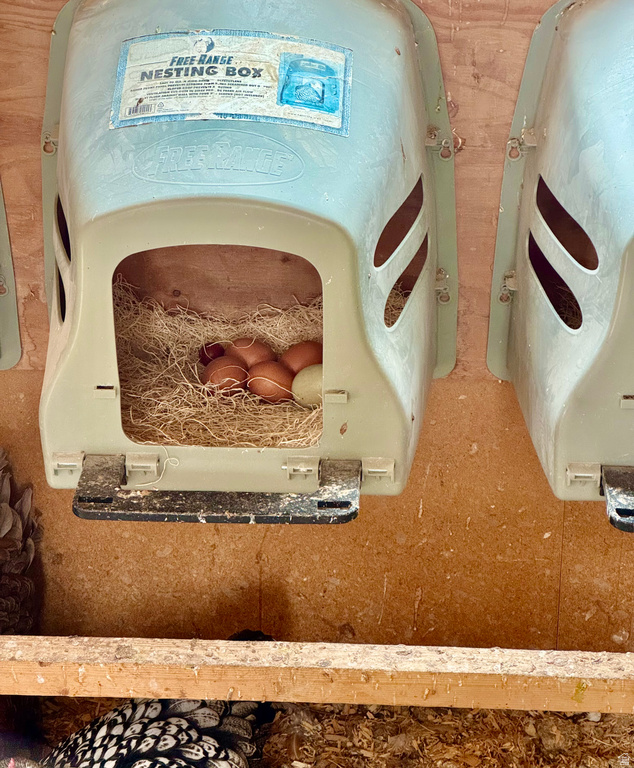 6645 N 4800 W Amalga, UT 84335