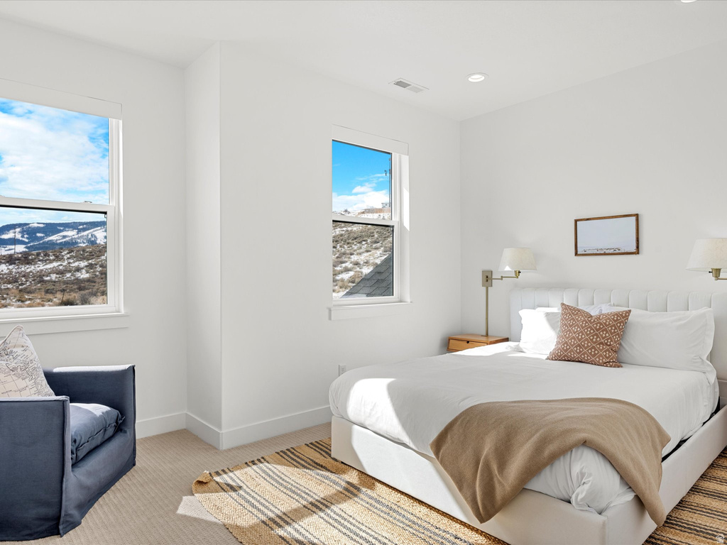 243 HAWKSBEARD CIR Fish Haven, ID 83287