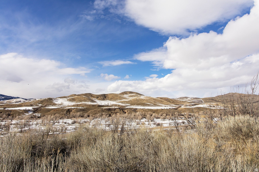 6363  WILLOW CREEK RD Mountain Green, UT 84050