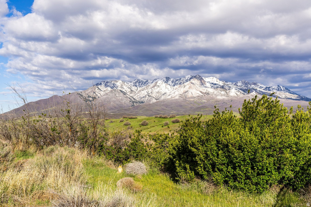 6363  WILLOW CREEK RD Mountain Green, UT 84050