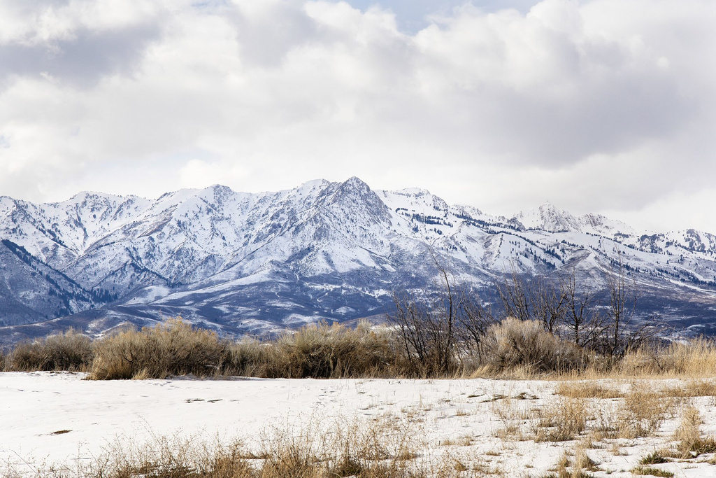 6363  WILLOW CREEK RD Mountain Green, UT 84050