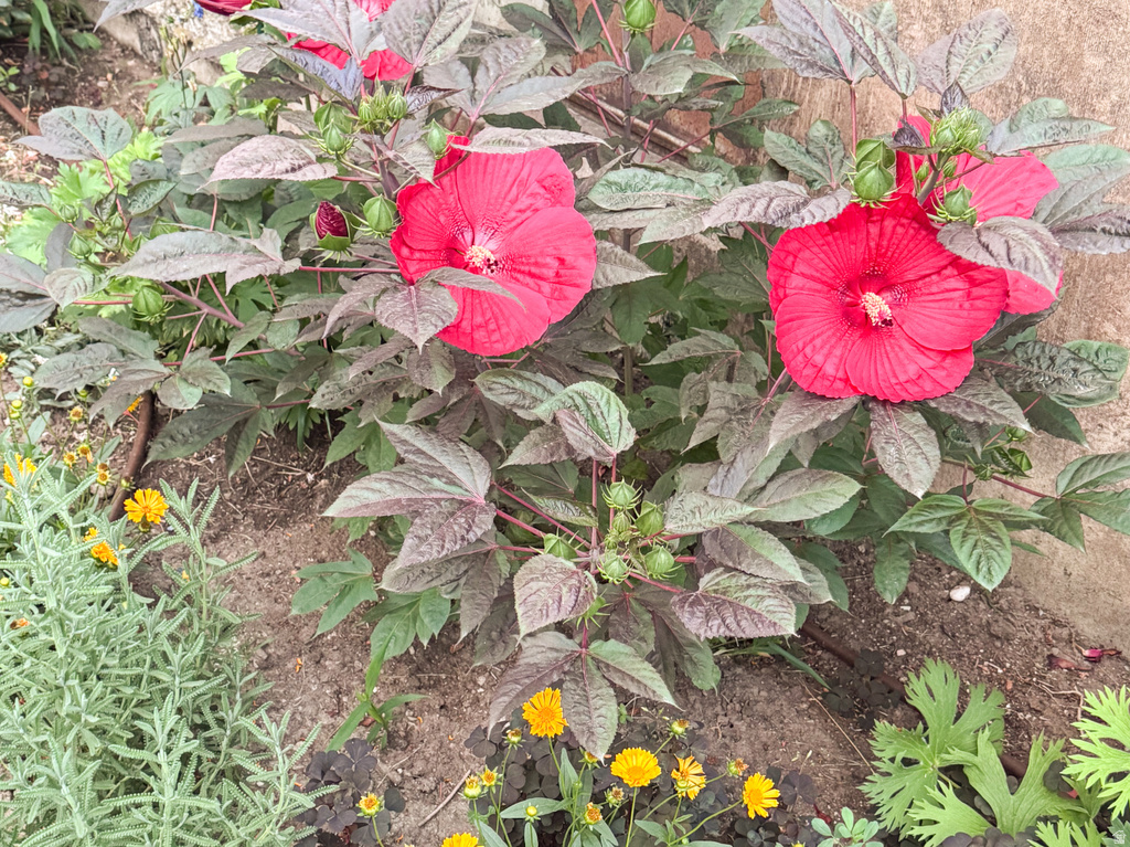 1702 CAPITOL ST Ogden, UT 84401