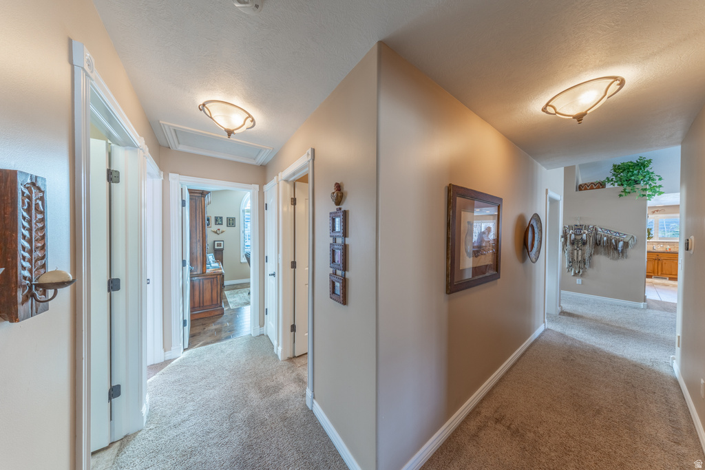 1129 E SANDERS RD Sandy, UT 84094