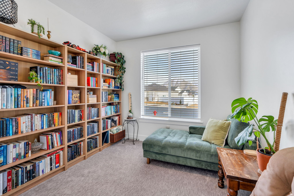 281 N PHEASANT DR Mapleton, UT 84664