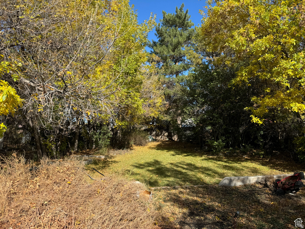 50 W 100 N Salina, UT 84654