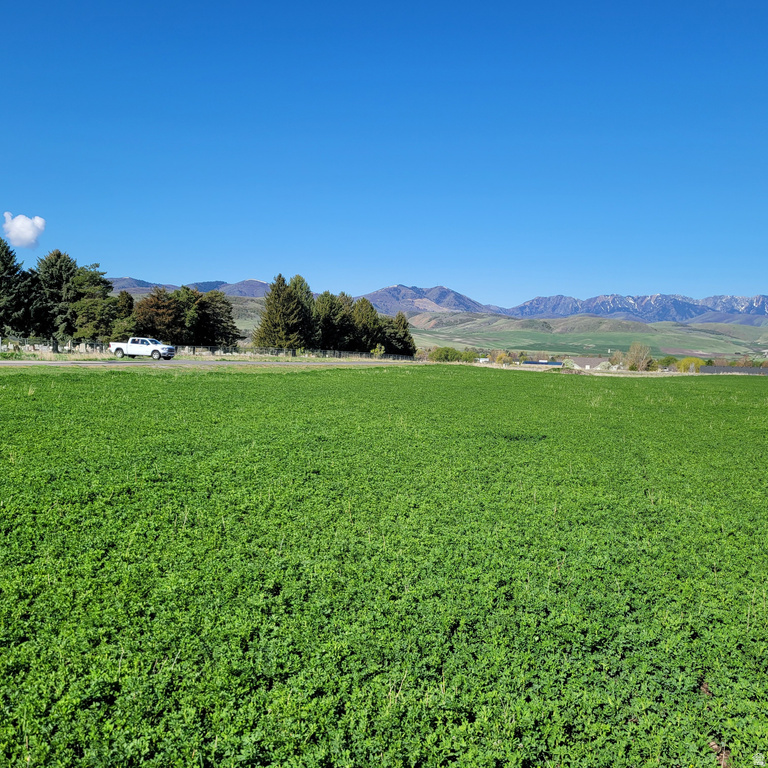 377 E 8900 S Paradise, UT 84328