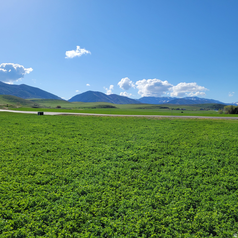 377 E 8900 S Paradise, UT 84328