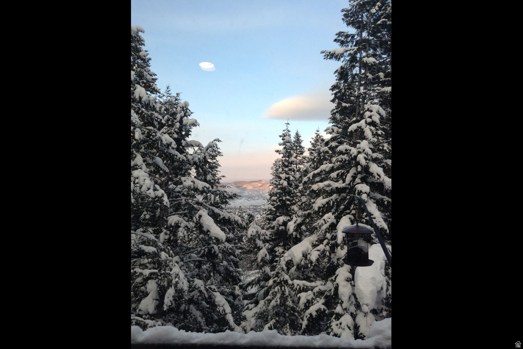 490 UPPER EVERGREEN DR Park City, UT 84098