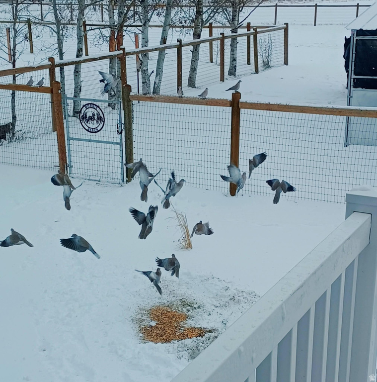 681 W ISLAND RD Morgan, UT 84050