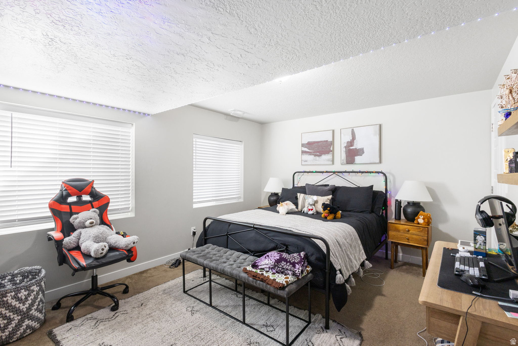 11377 S HOLLY SPRINGS DR South Jordan, UT 84009