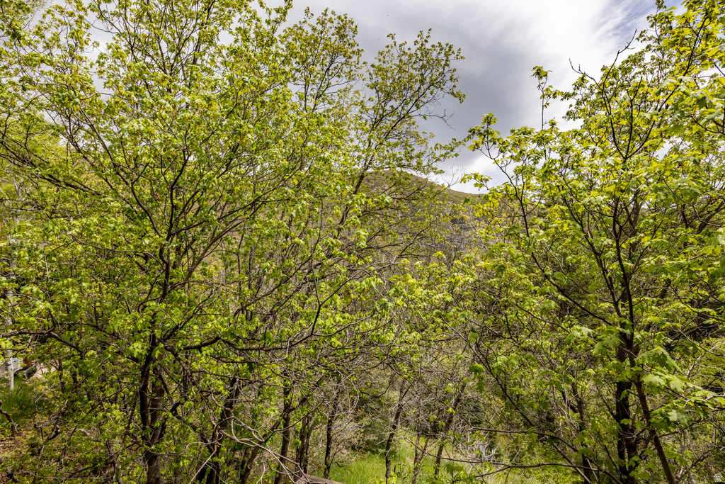 8840 N THE KNL #26 Sundance, UT 84604