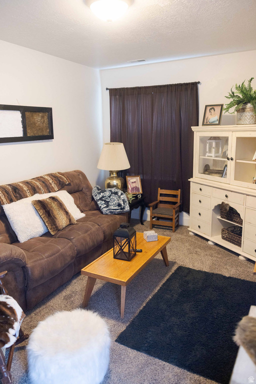 265 E SALEM PARK CIR Salem, UT 84653