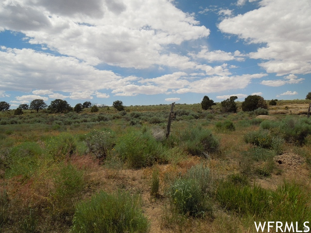  Monticello, UT 84535