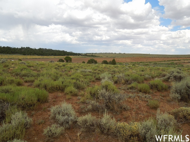  Monticello, UT 84535