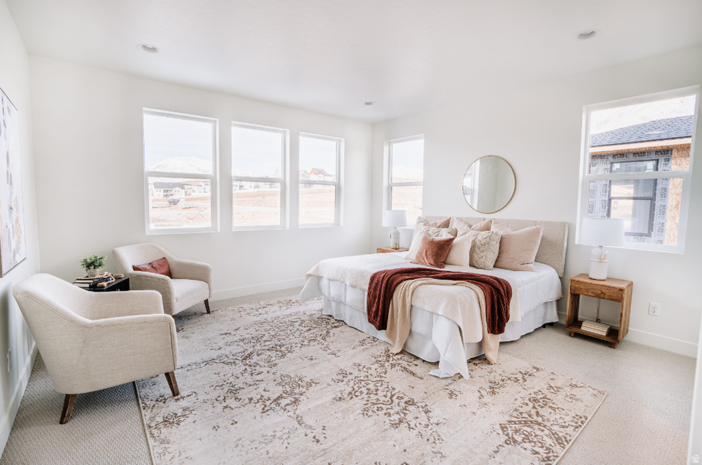 1582 W CANYON RIM RD #610 Lehi, UT 84048