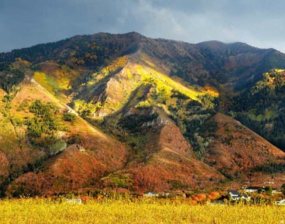  Woodland Hills, UT 84653