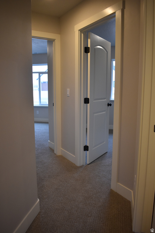 11003 N 8300 W Tremonton, UT 84337