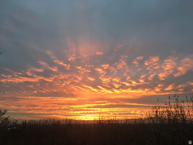 1269 ALICE LN Farmington, UT 84025