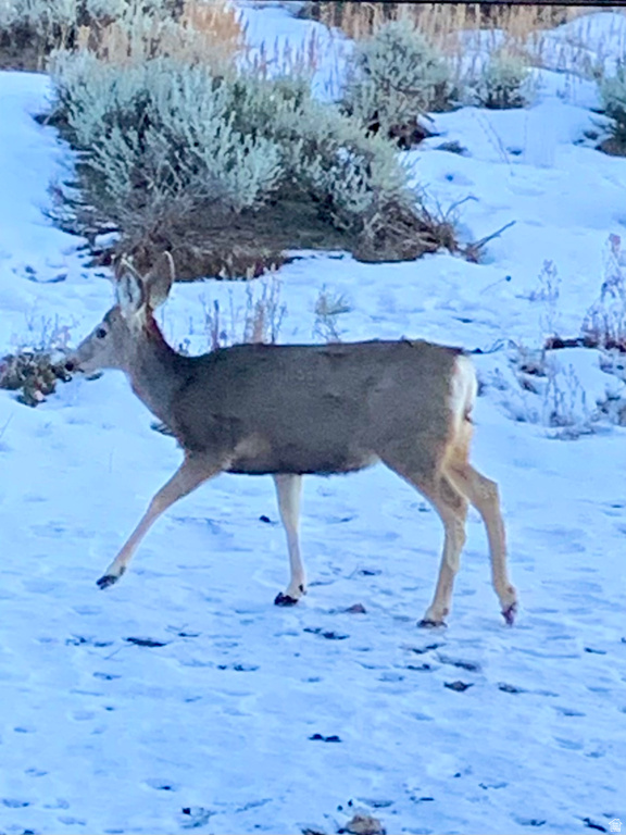 3272 STONEY CREEK CIR Heber City, UT 84032