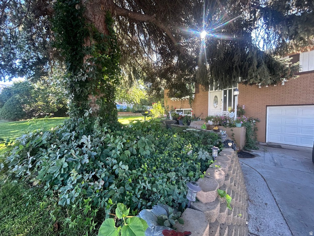 685 LAVINA DR South Ogden, UT 84403