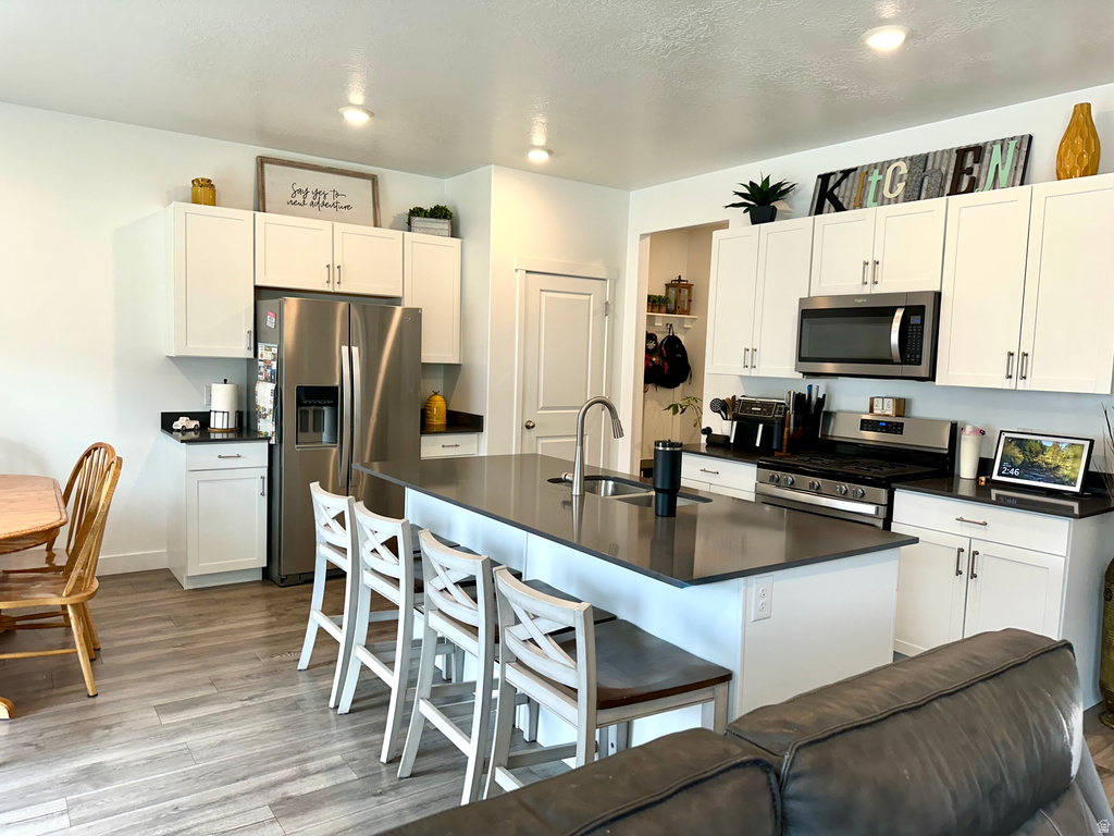 1231 S RED CLIFF DR Santaquin, UT 84655