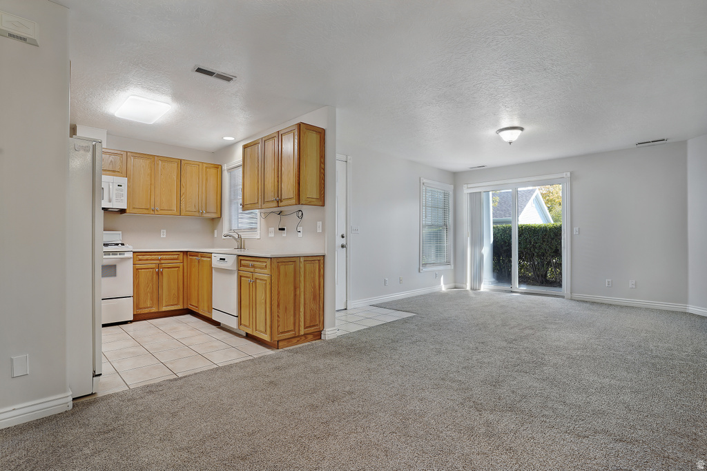 2480 W 450 S #4 Springville, UT 84663