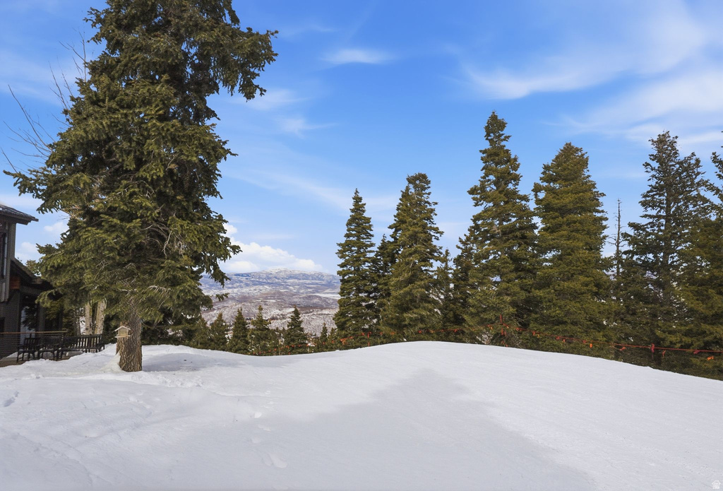 8200 ROYAL ST E #5 Deer Valley, UT 84060