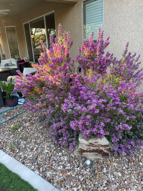 1763 W MORANE MANOR DR St George, UT 84790