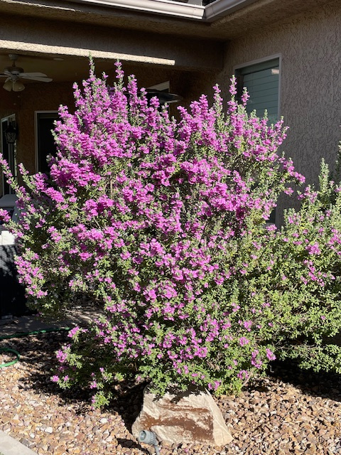 1763 W MORANE MANOR DR St George, UT 84790