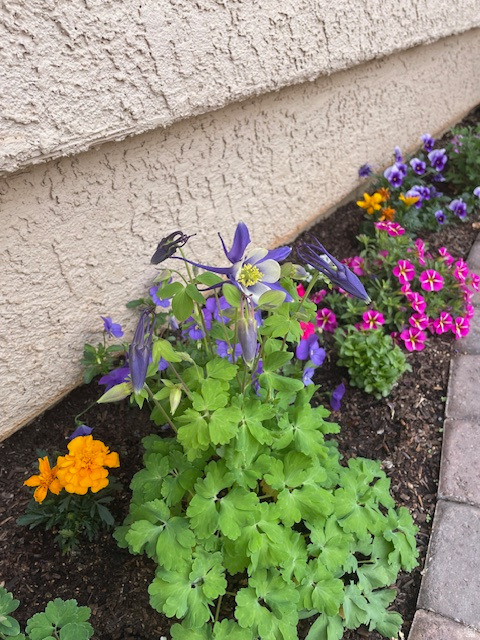 1763 W MORANE MANOR DR St George, UT 84790