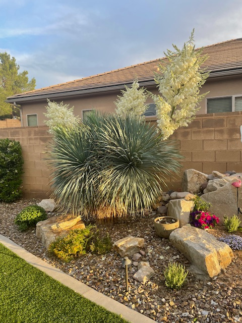 1763 W MORANE MANOR DR St George, UT 84790