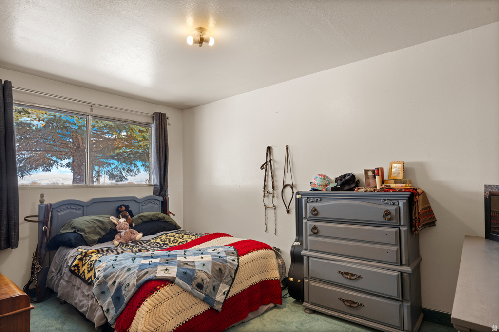 988 TRANSTRUM RD Saint Charles, ID 83272